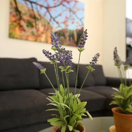 On The Lägenhet Vlorë